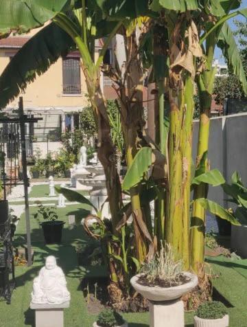 Chambre Solo Duo 20 Min Paris Drancy Zewnętrze zdjęcie